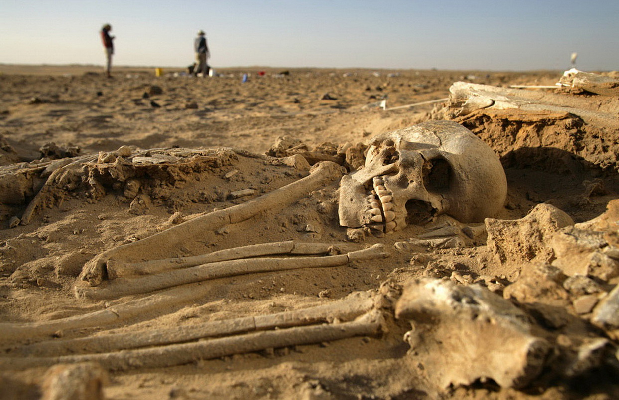 Правда что раньше люди. Великаны люди скелеты исполины. Исполины нефилимы скелеты. Скелет великана археологическая находка.
